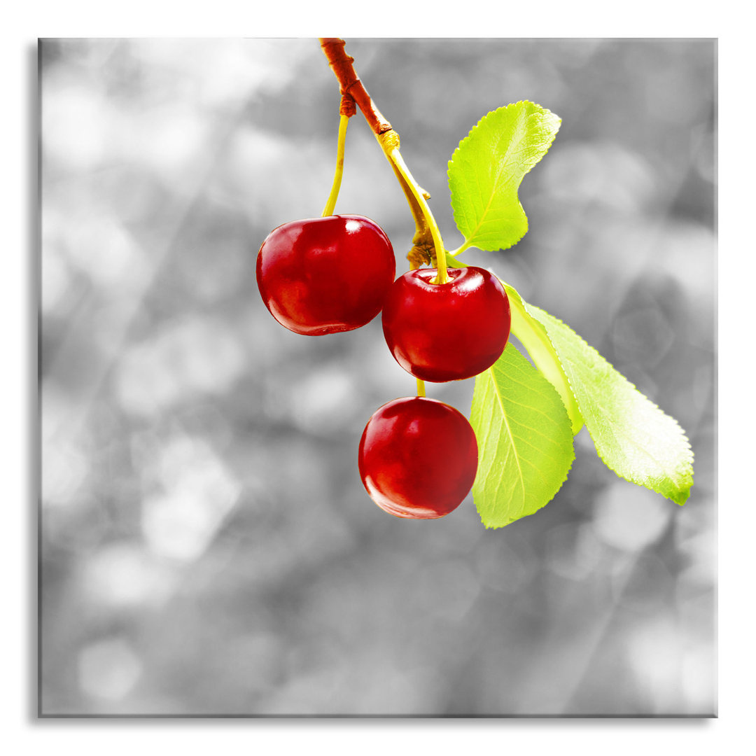 Ungerahmtes Foto auf Glas "Shiny Cherries on a Branch"