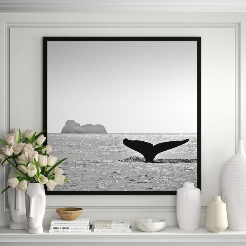 Majestic Orca' Framed Photographic Print