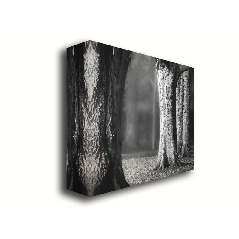 Arbres dans la lumière de l'après-midi par Hal Halli. Estampe numérique, H 40,5 po x l 50,5 po, Noir