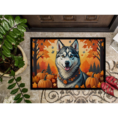 Noahalexander Non-Slip Doormat