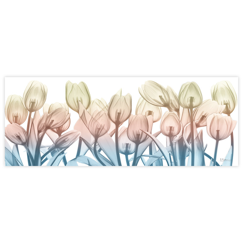 «Spring Blooms» par Albert Koetsier - reproduction de photo non encadrée sur verre