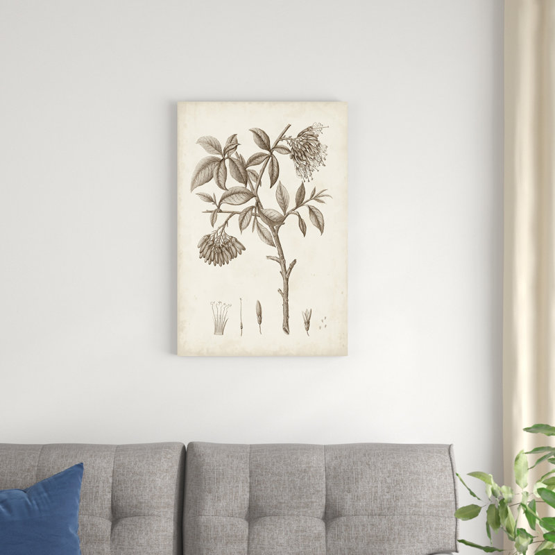 " Antique Sepia Botanicals I ", 30" H x 20" W