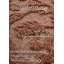 , Brown Kollektion 1879 Area Rug-99306895