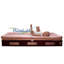 French Provincial Crib Mattress Base with Sleep Surface