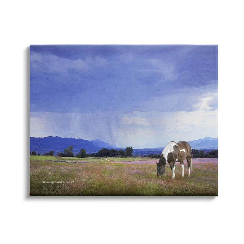 «Sp Spot Horse Grazing Country Grassland» par Chris Vest - photographie sur toile tendue, H 36 po x l 48 po x P 1,5 po