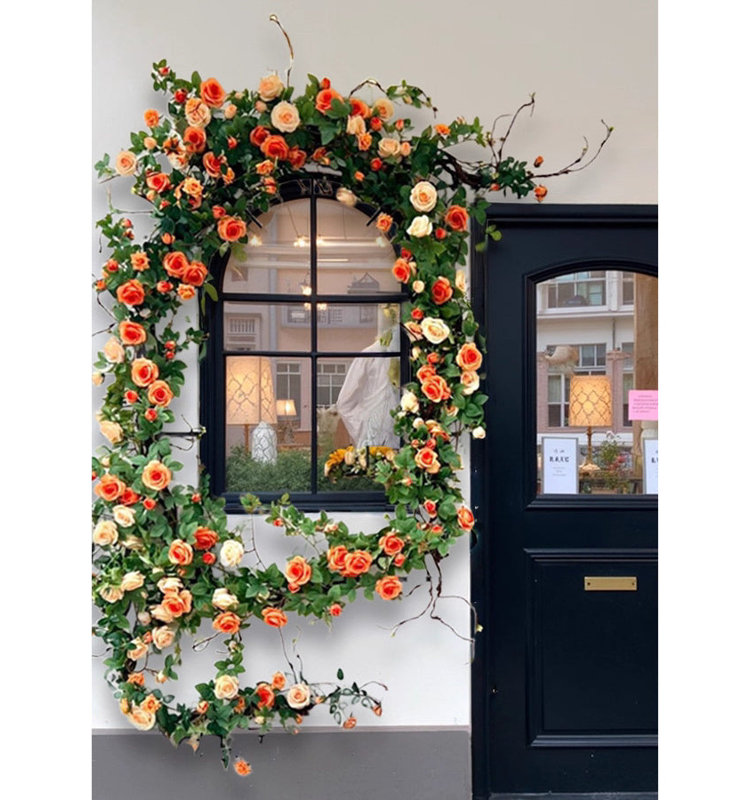 Roses orange vignes pour treillis et toile de fond