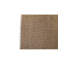 Oriental Area Rug in Orange