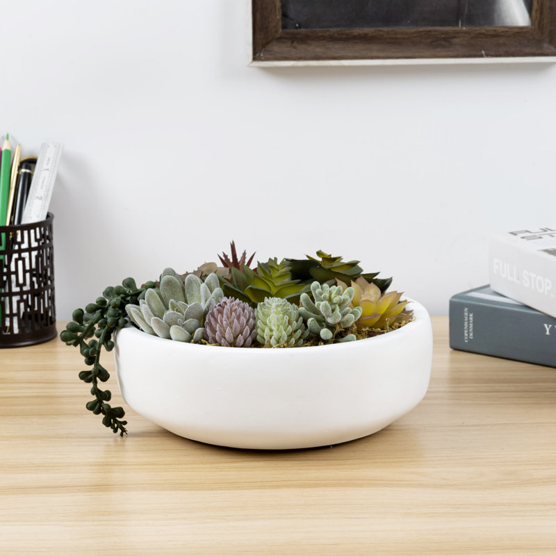 Fausse plante grasse en pot 4,3 po