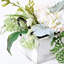 Arrangements floraux d'hortensias en pot