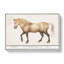 A Horse by A.B. De Boodt - Wrapped Canvas-55299195