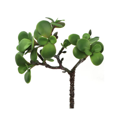 Branche artificielle Portulacaria Afra