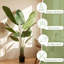 Fausse plante palmier de voyage-846183084