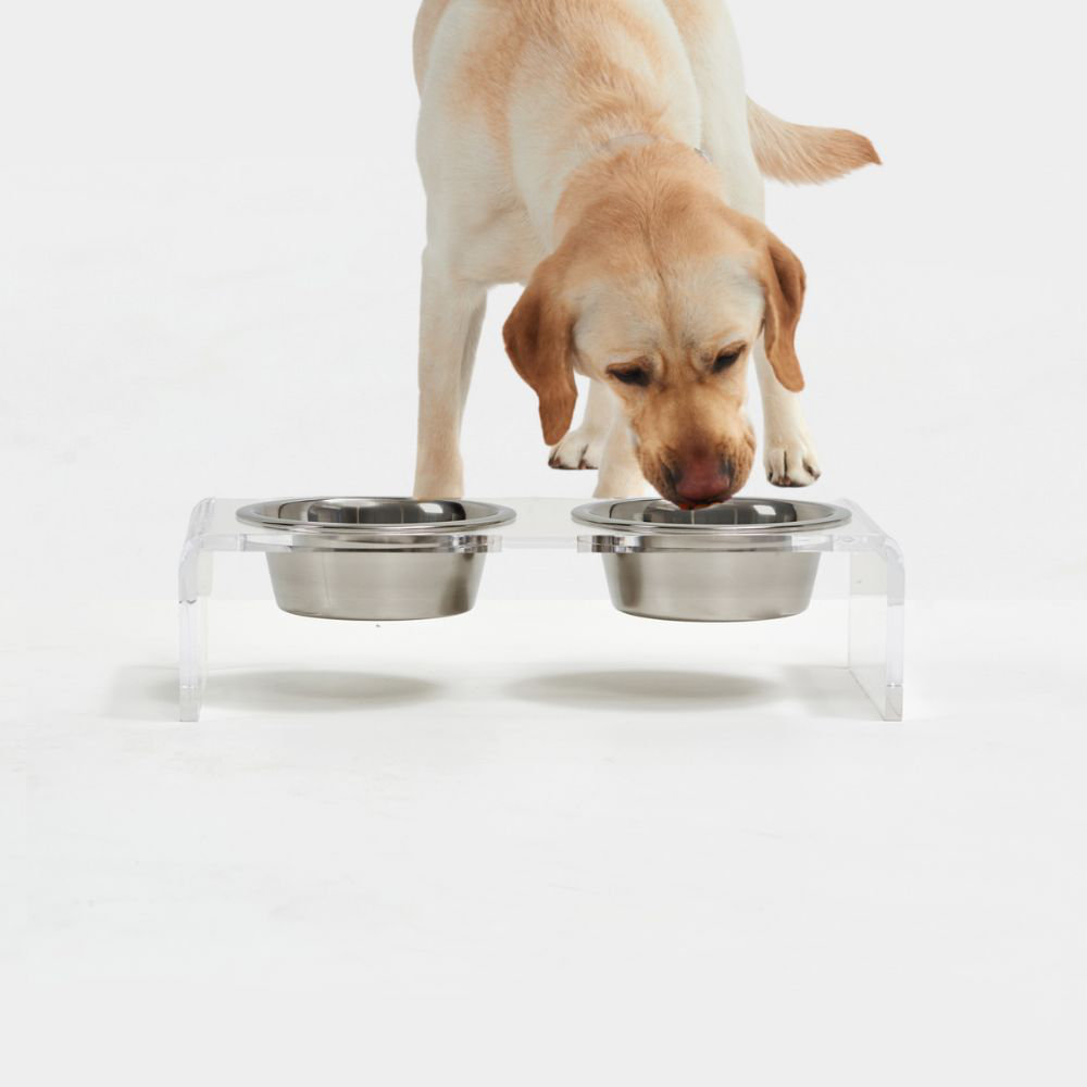 Acrylic Elevated Dog Cat Bowls Pet Feeder Double Bowl Raised Stand Comes  with 4 Removable Stainless Steel Bowls. Perfect for Cats Puppies Small  Dogs