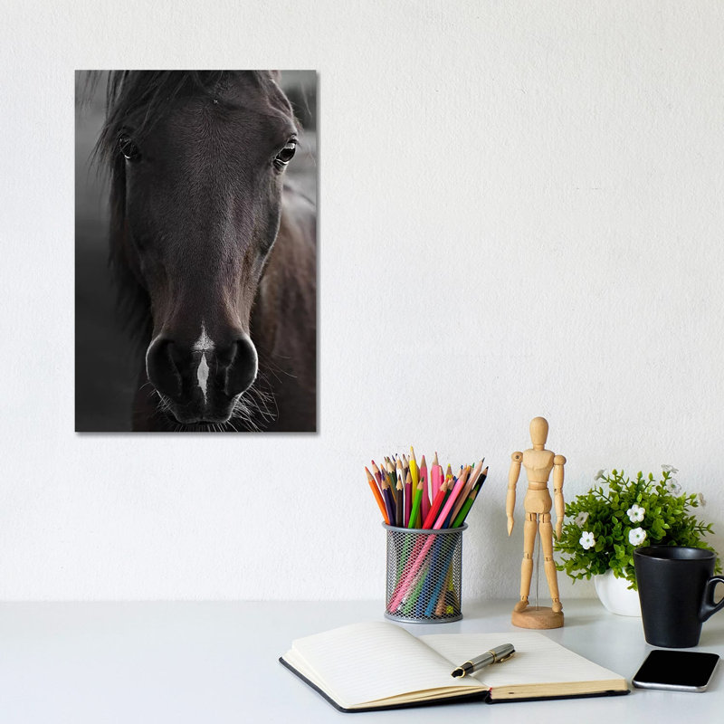 Imprimé cheval foncé par Monika Strigel, Toile tendue, Pas de tapis, H 12 po x l 8 po x P 0,75 po