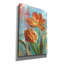 «Parrot Tulips 2» par Danhui Nai, art mural sur toile-257585585