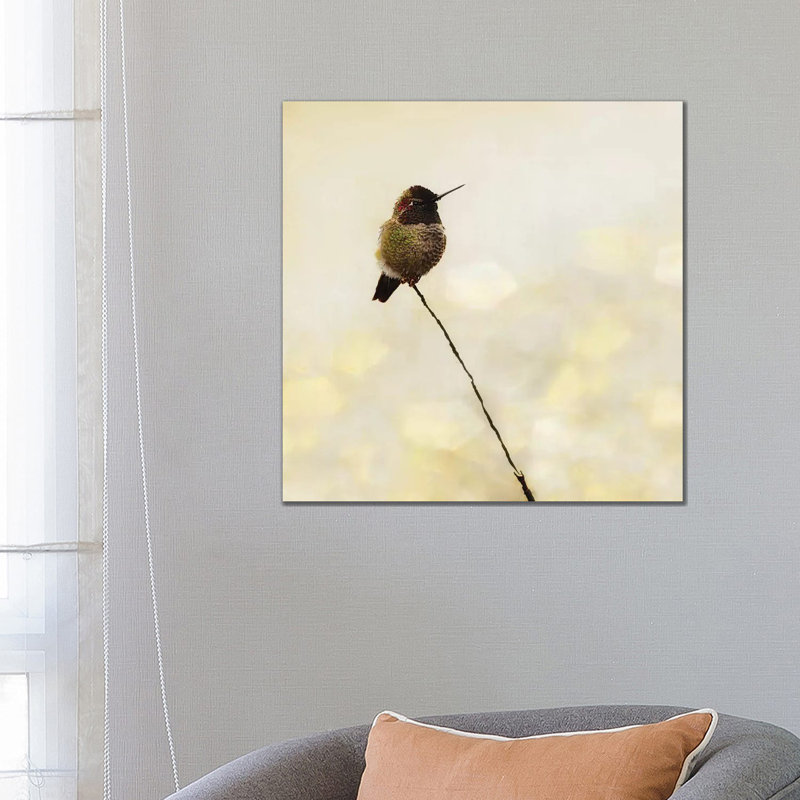 Hummingbird by MScottPhotography - Wrapped Canvas Print, 66.04 cm H x 66.04 cm W