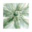 Macro Sage Flower I by Carol Robinson - Wrapped Canvas Painting-343693095-343693098