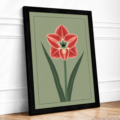 Study Botanical - Framed Print