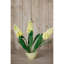Anastasija Arrangement-1582456856-1582456857