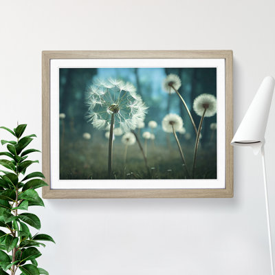 Alluring Dandelion Flowers - Single Picture Frame Print