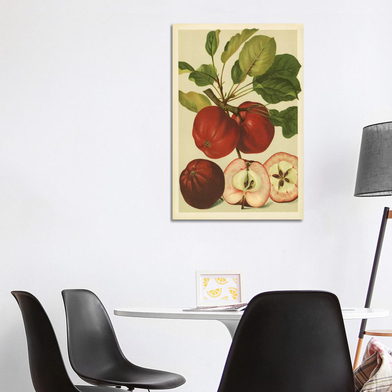 Red Veli Apples - Wrapped Canvas Print, 101.6 cm H x 66.04 cm W x 1.91 cm D