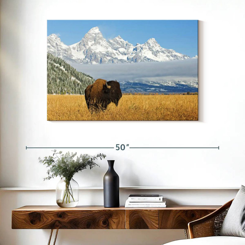Grand Teton Bison Bull, H 26 po x l 39 po