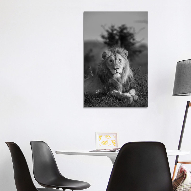Lionking by Anders Jorulf - Wrapped Canvas Print, 101.6cm H x 66.04cm W x 1.91cm D