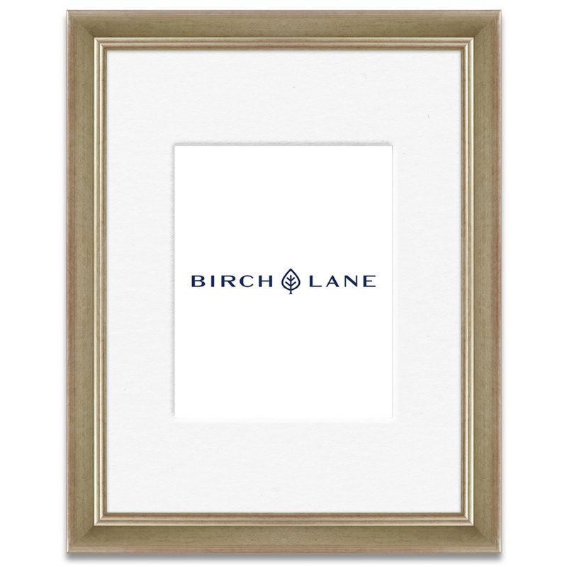 Cadre pour photo simple Arin, Argent, 12 po x 18 po