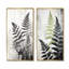 Black Ferns Serene Retreat - Ensemble de 2 impressions sur toile de fougères-2140448412-2140448400