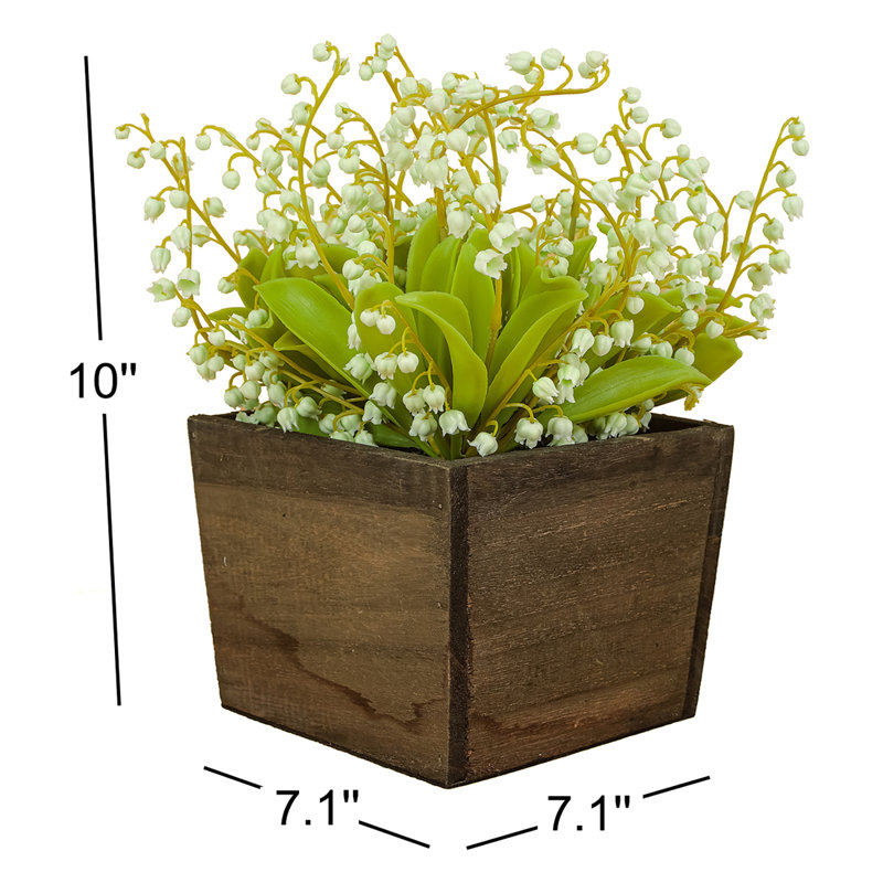 Muguet dans une boîte en bois, Vert
