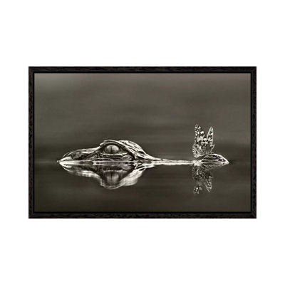 American Alligator With a Butterfly on Its Snout, Everglades National Park, Florida 1 Piece Wall Art on Canvas