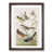 Walnut Framed
