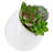 Gigee Ceramic Wall Planter-923211545