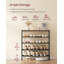 Bordovice Shoe Rack-2124844822