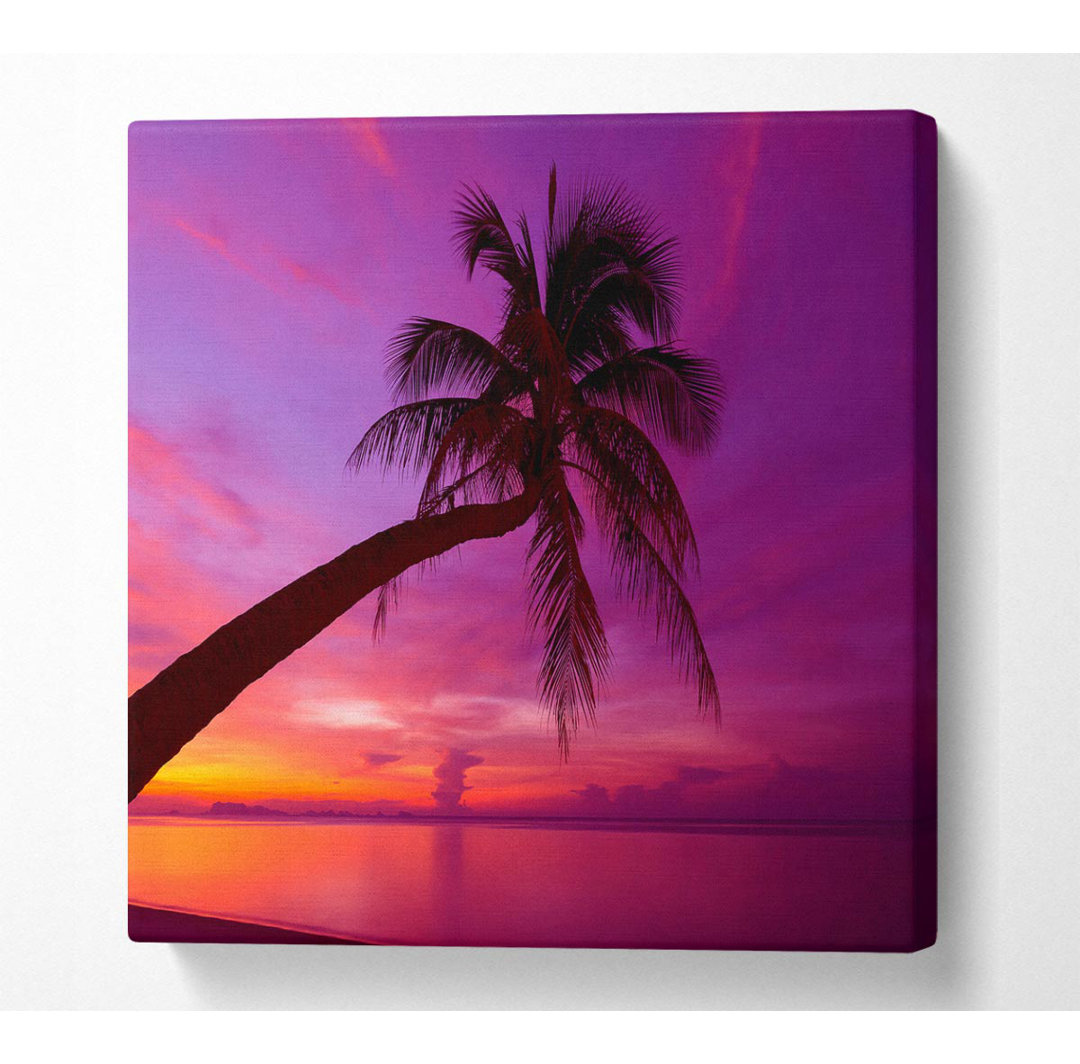 Palm Tree Skies - Kunstdrucke auf Leinwand - Wrapped Canvas