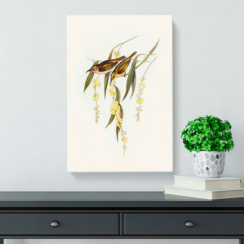 Brown Honeyeater Birds by Elizabeth Gould - Wrapped Canvas Painting, 60cm H x 40cm W x 3cm D