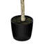 Olive verte artificielle dans un pot de fleurs noir-881041604