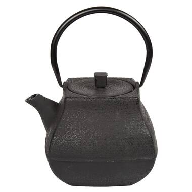 47oz Cast Iron Tea Kettle Stovetop Safe Japanese Tea Pot With