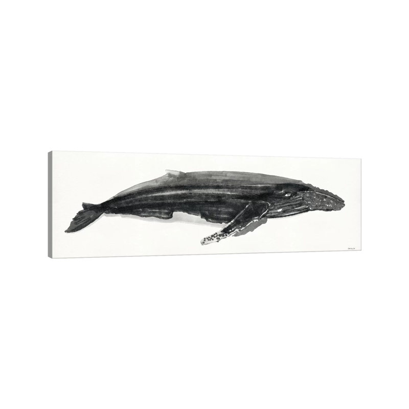 Grey Whale II - Wrapped Canvas Panoramic Print, 30.48 cm H x 91.44 cm W x 3.175 cm D