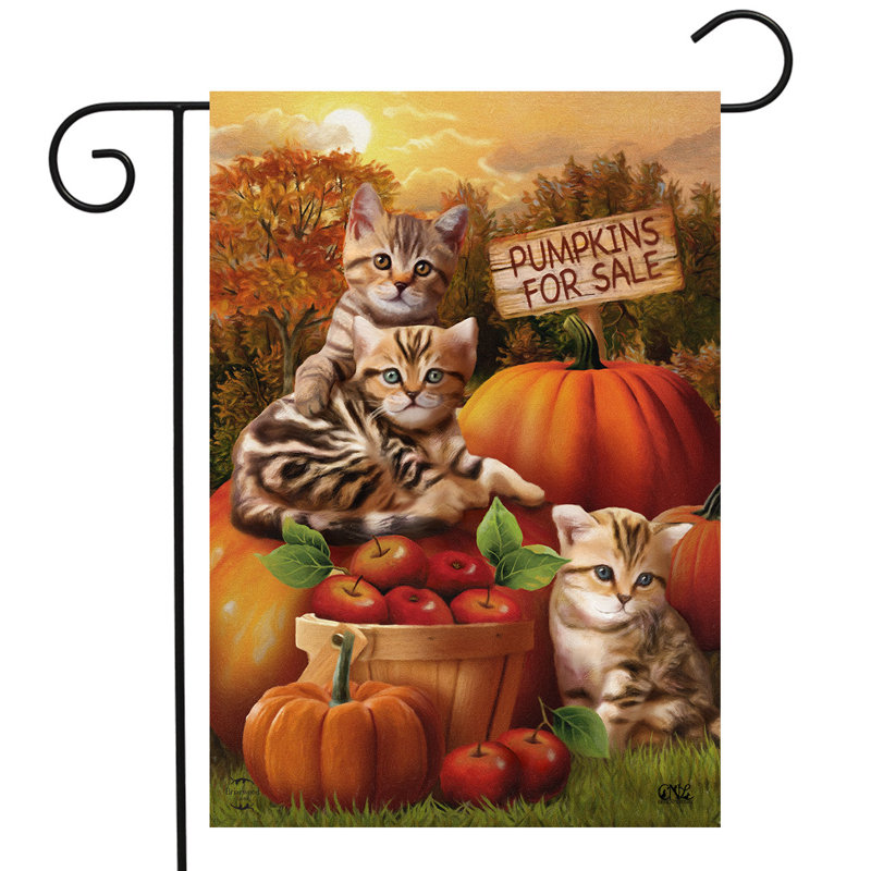 Automne, chatons, citrouilles, jardin, drapeau