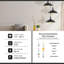 Belmar 3 - Light Cluster Pendant-634568085-635697265