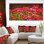 Petites fleurs rouges au printemps, reproduction de photo sur toile tendue-19241373