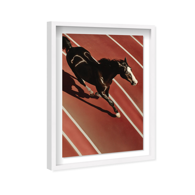 Velocity Vector Framed Graphic Art, 37.5"H x 25.5"W, White Shadowbox