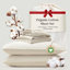 Ensemble de draps 100% coton-107142718-107142715