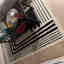 Photos des clients 1 de 1