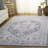 Scarlett 418 Performance Oriental Rug-27942113