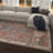 Kemmer Oriental Machine Woven Cotton/Polyester Area Rug-844355221