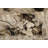 Tyanka Abstract Indoor Rug-69524811