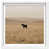 White Shadowbox