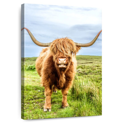 Brampt Fluffy Baby Highland Cow Scotland